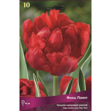 Тюльпан Флеш Поинт (махровый ранний)