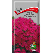 Флокс друммонда Красотка в малиновом