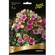 Флокс Ауреоле (метельчатый)