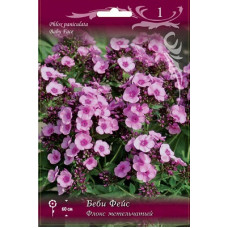 Флокс Беби Фейс (метельчатый)