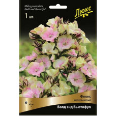 Флокс Болд энд Бьютифул (метельчатый)