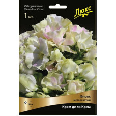 Флокс Крем де ла Крем (метельчатый)