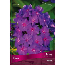 Флокс Ники (метельчатый)