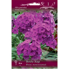 Флокс Венди Хаус (метельчатый)