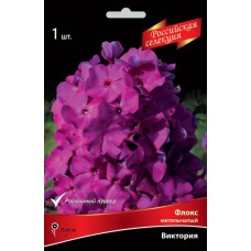 Флокс  Виктория (метельчатый "Российская селекция")