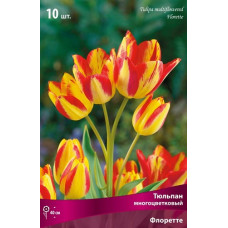 Тюльпан Флоретте