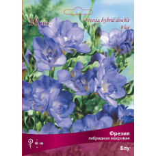 Фрезия гибридная махровая Блу 