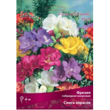 Фрезия махровая Смесь окрасок