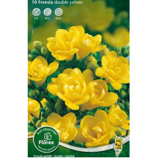 Фрезия Махровая Йеллоу