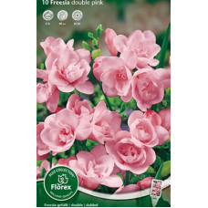 Фрезия Махровая Пинк