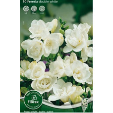 Фрезия Махровая Вайт