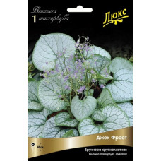 Бруннера Джек Фрост (крупнолистная)