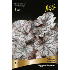 Гейхера (хеухера) гибридная Гардиан Энджел 
