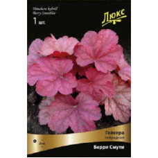 Гейхера Берри Смути (гибридная)