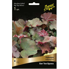 Гейхера Биг Топ Бронз (гибридная)