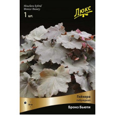 Гейхера Бронз Бьюти (гибридная)