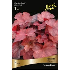 Гейхера Черри Кола (гибридная)