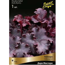 Гейхера Дарк Мистери (гибридная)