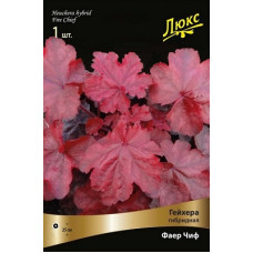 Гейхера Фаер Чиф (гибридная)