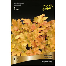 Гейхера Мармелад (гибридная)