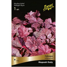 Гейхера Миднайт Байу (гибридная)