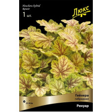 Гейхера Ренуар (гибридная)