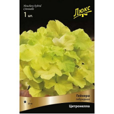 Гейхера Цитронелла (гибридная)