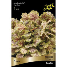 Гейхера Ван Гог (гибридная)