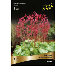 Гейхера Моне (кроваво-красная)
