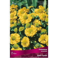 Гелениум Дабл Трабл (осенний)