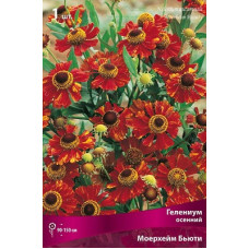 Гелениум Моерхейм Бьюти (осенний)