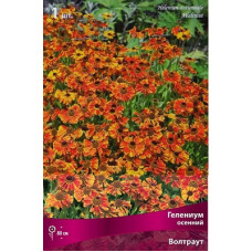 Гелениум Волтраут (осенний)