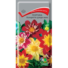 Георгина Коларетте дэнди микс
