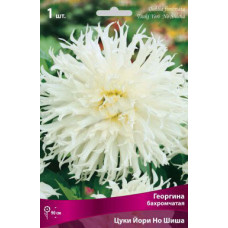 Георгина Цуки Йори Но Шиша (бахромчатая)