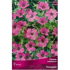 Герань Патриция (гибридная)
