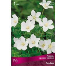 Герань Альбум (кроваво-красная)