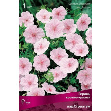 Герань вар.Стриатум (кроваво-красная)