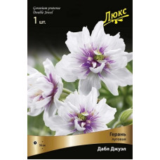 Герань Дабл Джуэл (луговая)