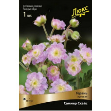 Герань Саммер Скайс (луговая)