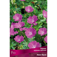 Герань Макс Фрэй (кроваво-красная)