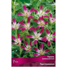 Герань Тарстонианум (великолепная)