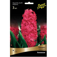 Гиацинт махровый Холлихок (Серия ЛЮКС)