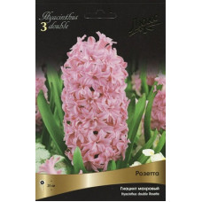 Гиацинт махровый Розетта (Серия ЛЮКС)
