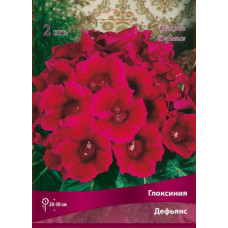 Глоксиния Дефьянс