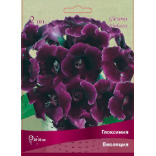 Глоксиния Виоляция