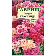 Годеция Красавица