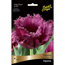 Тюльпан Горилла (Серия Люкс)