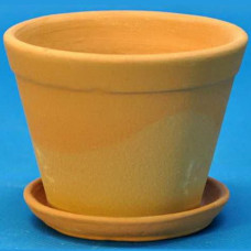 Горшок Юкка