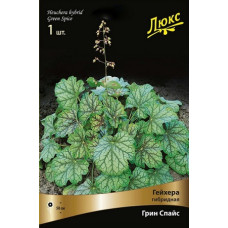 Гейхера Грин Спайс (гибридная)
