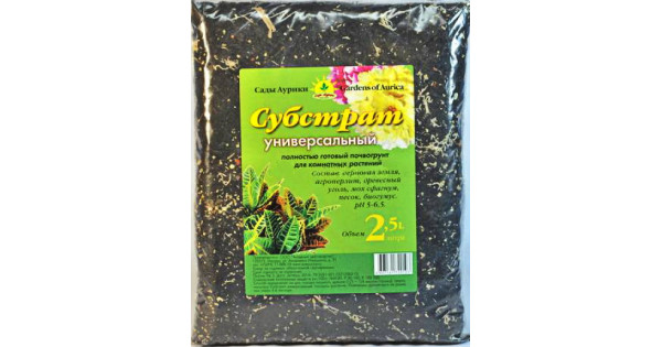 Алсу онлайн порно көру